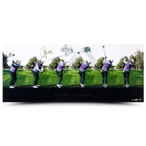Upper Deck Shanshan Feng "Art Of The Swing" 36" X 16"
