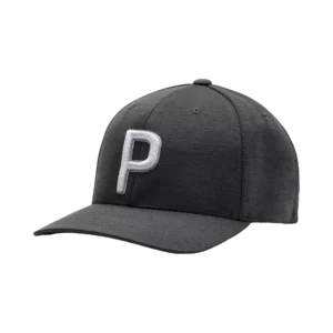 P110 Snapback Hat