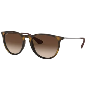 Ray-Ban Erika Classic Sunglasses