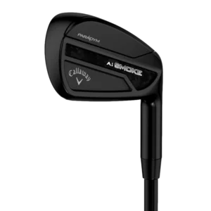 Paradym Ai Smoke Black Irons w/ Steel Shafts